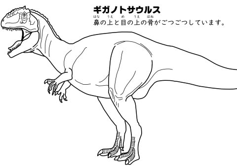 ギガノトサウルス　ぬりえイメージ